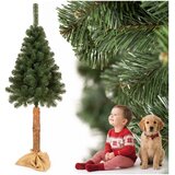  CT0273 ŠKOTSKI BOR NA DEBLJU 180 CM | shoptok.hr