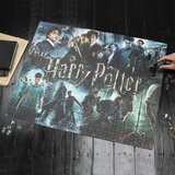 HARRY POTTER Puzzle Poster Cene'.'