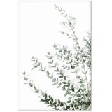 Slika - Eucalyptus Parvifolia (1 Part) Vertical 80x120 | shoptok.hr