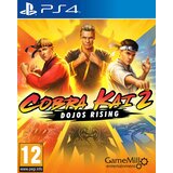  PS4 Cobra Kai Dojos Rising cene
