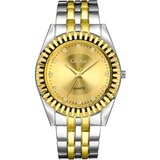 CHance Ura HA-12151 - Srebrna / Zlata | Shoptok.si