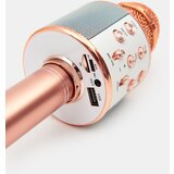 Sinsay Karaoke mikrofon | shoptok.hr