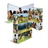 Herma registrator Animals, A4, 70 mm, konji pkhk579jnv2p | Shoptok.si