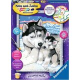  Slikanje po številkah - Husky Kiss Cene