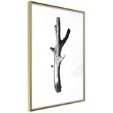  Poster - Fetch! 20x30 | shoptok.hr