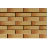 GOBI FACADE RUSTIKO 245x65x6,5 0,50