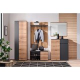XORA garderobna omara antracit, barve hrasta | Shoptok.si