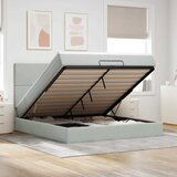 vidaXL Otomanski posteljni okvir z vzmetnicami siv 200x200cm žamet | Shoptok.si