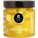 Cosmoveda Koščki ananasa v lastnem soku bio - 200 g | Shoptok.si