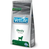 dog obesity chicken 12kg