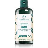 The Body Shop ginger scalp care balzam za lase za občutljivo lasišče za oslabljene lase 250 ml Cene