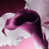 Dior Capture Totale Le Sérum pomlađujući serum za lice 30 ml | shoptok.hr