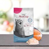 Platinum MeatCrisp Sterilised Adult riba 1,5 kg Cene