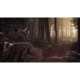 Deep Silver Blair Witch (PS4) | Shoptok.si