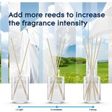 Glade Pure Clean Linen difuzer 50 ml | shoptok.hr