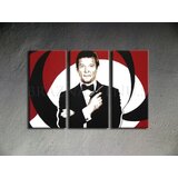  Ročno izdelana slika POP Art James Bond 3-delna (POP ART) | Shoptok.si