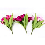  Buket lala | ePonuda.com