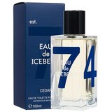 Iceberg Eau de Cedar toaletna voda 100 ml za moške Cene