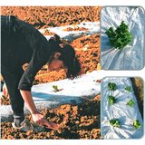 Garden Pleasure Malč tkanina - | shoptok.hr