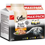 Sheba Multi pakiranje Fresh & Fine v vrečkah za ohranjanje svežine 15 x 50 g - Mesna raznolikost v omaki