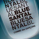 Comme des Garçons Blue Santal parfumska voda uniseks 100 ml | Shoptok.si