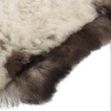  Ovčja koža šarena (60-70) x (90-100) cm | Eponuda.ba