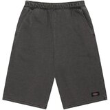 Dickies Streetsboro 13 Inch šorc | Eponuda.com