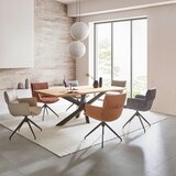 Dieter Knoll NASLANJAČ, kovina, tekstil barve kapučina | Shoptok.si