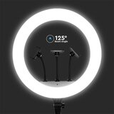  LED prigušiva lampa za vlogovanje sa stalkom i držačem LED/55W/230V | Eponuda.com