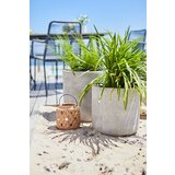 Olimp Sport Saksija Boowl | ePonuda.com