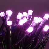 Home deco 200 Led žaruljica ljubičaste 10 metara zelena žica IP 44 Cijene