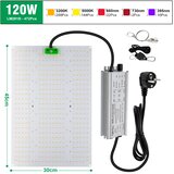 GRAXIDEA LED rastoča luč, 120W ali 240W možnosti, nastavljiva svetlost, polni spekter, 120W, (5000210153) | Shoptok.si