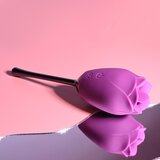 Playboy Pleasure Petal Wild Aster Cene