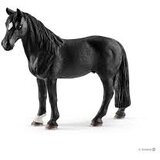  Tennessee Walker pastuv | Eponuda.com