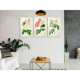  Slika - Floral Trio (Collection) 120x60 | shoptok.hr