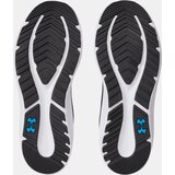 Under Armour Men's shoes UA Charged Pursuit 4 - Men's | Shoptok.si