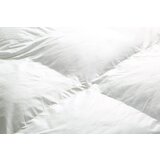  Prešita odeja COTTON | Shoptok.si