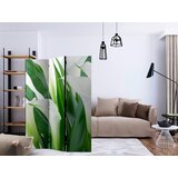 Artgeist PARAVAN 135/172/3 cm zelena, bela | Shoptok.si