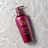 DAENG GI MEO RI Damaged Hair šampon za učvršćivanje za oštećenu i lomljivu kosu 500 ml | shoptok.hr