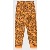 Sinsay Komplet dvodijelne pidžame Hot Wheels | shoptok.hr