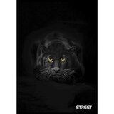 STREET Zvezek Safari A4 brezčrtni | Shoptok.si