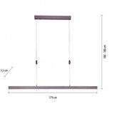 PAUL NEUHAUS 2568-24 - led prigušiva luster na sajli adriana LED/14W/230V | Eponuda.com
