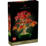 Botanical Collection - Crvenolisni japanski bonsai javor (10348)