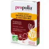Organic Pure Propolis to Chew - 10 g