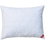 VZGLAVNIK Edition 101 60/80 cm