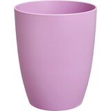  Cvetlični lonec - bruseljska orhideja visoka 12,5 cm - močna vijolična | Shoptok.si