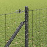 Euro ograda s špicama 10 x 1,2 m Čelik premazan PVC-om Siva | shoptok.hr