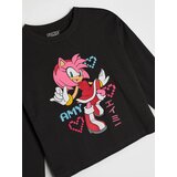 Sinsay Pamučna majica dugih rukava Sonic the Hedgehog | shoptok.hr