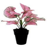 Dekordom Cvet u saksiji - monstera pink zd-241321r - 36cm - n55 ( 025081 ) Cene