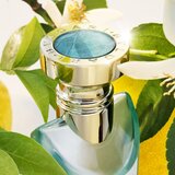 Bvlgari Eau Parfum&amp;eacute;e Au Th&amp;eacute; Vert darilni set uniseks Slike